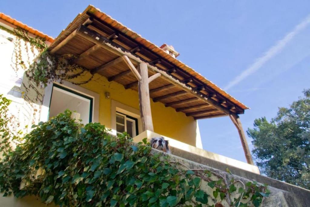 Casa Da Ruiva Villa Serra Екстериор снимка