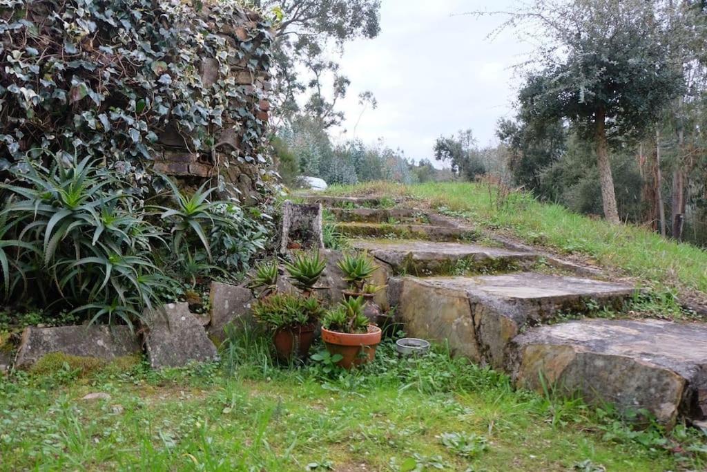 Casa Da Ruiva Villa Serra Екстериор снимка